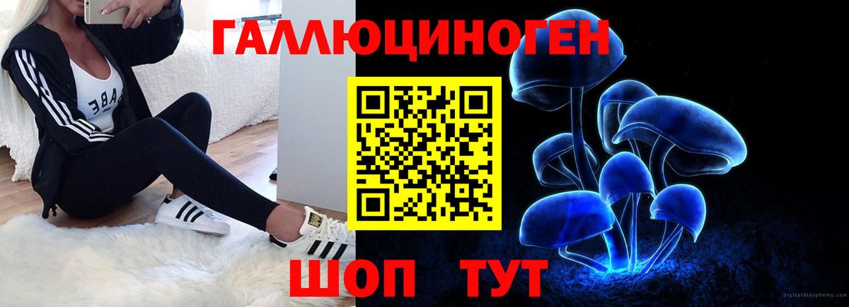 Кудрово  Галлюциногенные грибы GOLDEN TEACHER  Псилоцибиновые грибы Psilocybe  Вход с VPN 